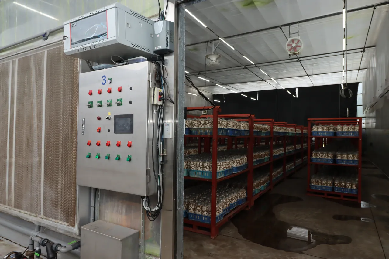 全臺首座智能環控菇類栽培場 「森沐農場」為永續轉型典範 圖2