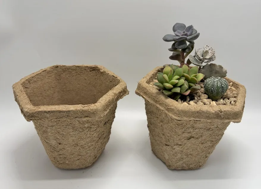 「稻草原生漿」催生綠色包材新商機 圖4