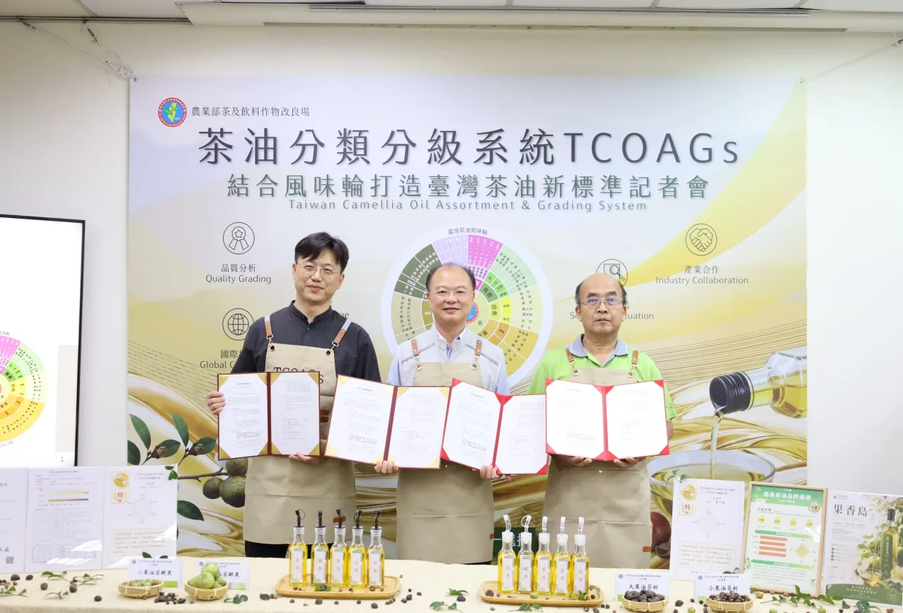 「茶油分類分級系統 TCOAGs」結合風味輪打造臺灣茶油新標準 圖3
