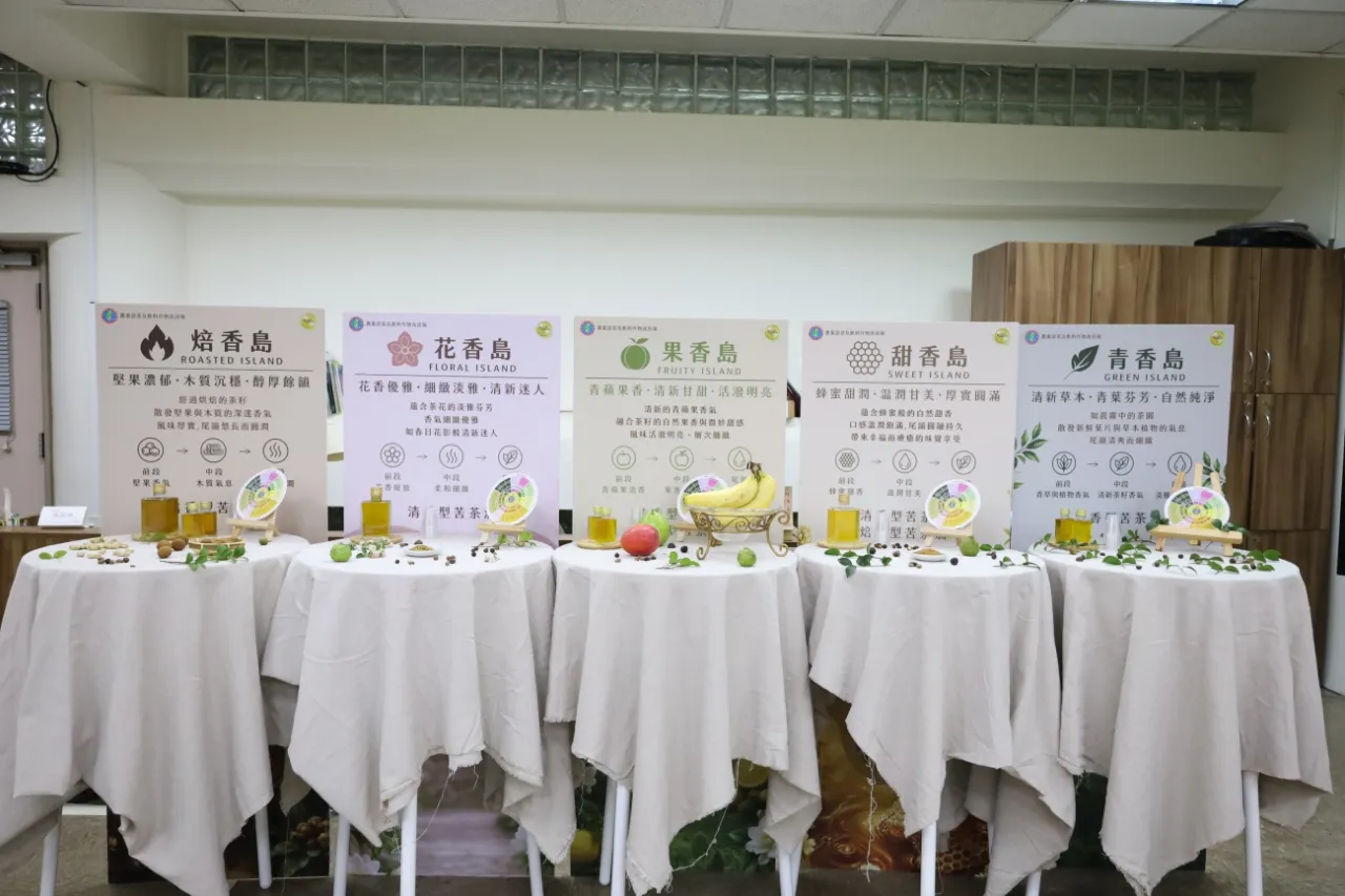 「茶油分類分級系統 TCOAGs」結合風味輪打造臺灣茶油新標準 圖5