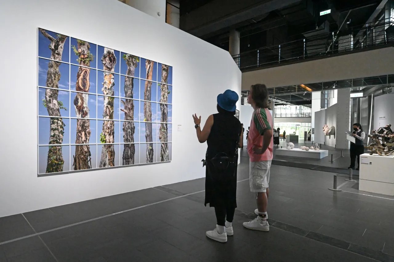 匯聚全國藝術創作能量 「115年全國美術展」盛大登場 圖3