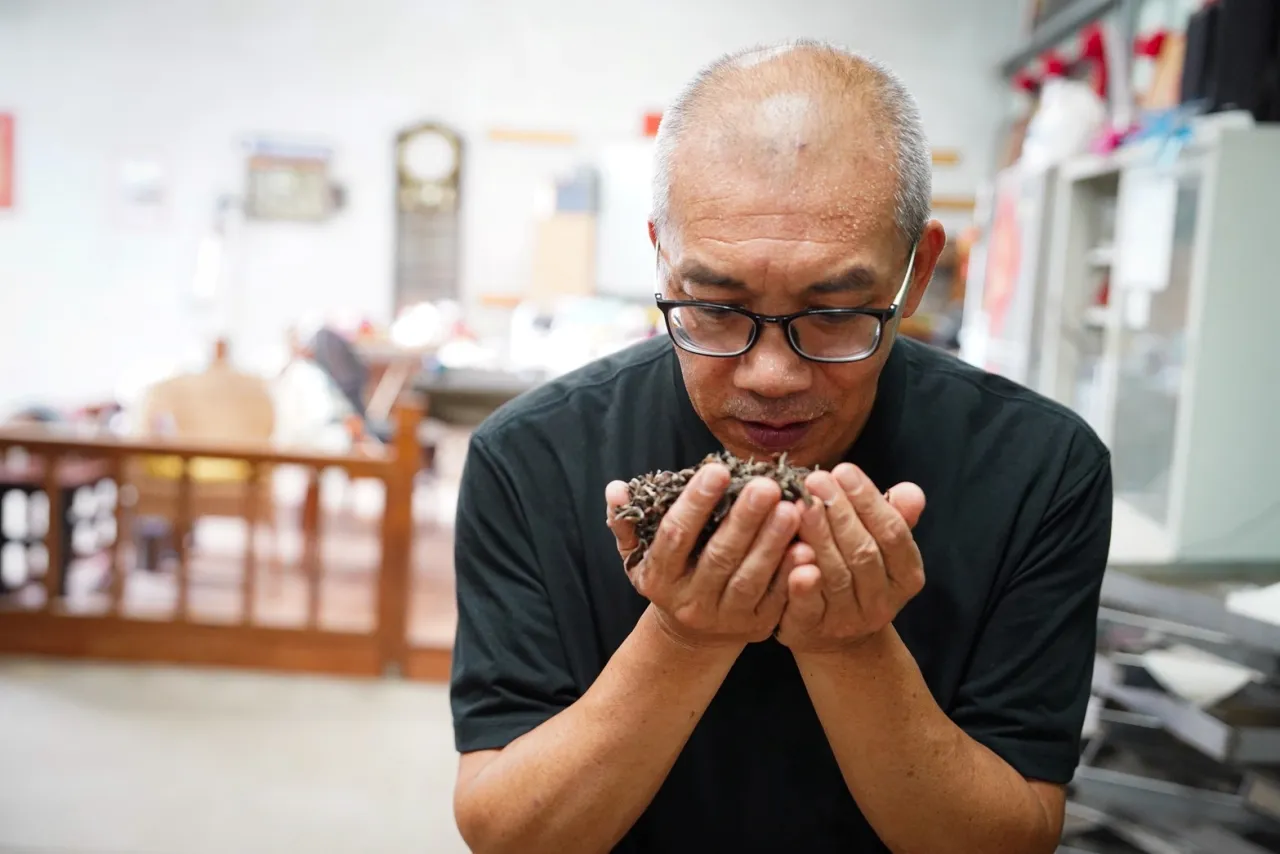 新北市美人茶沁涼上市 三芝粟益民三度榮獲特等獎 圖3