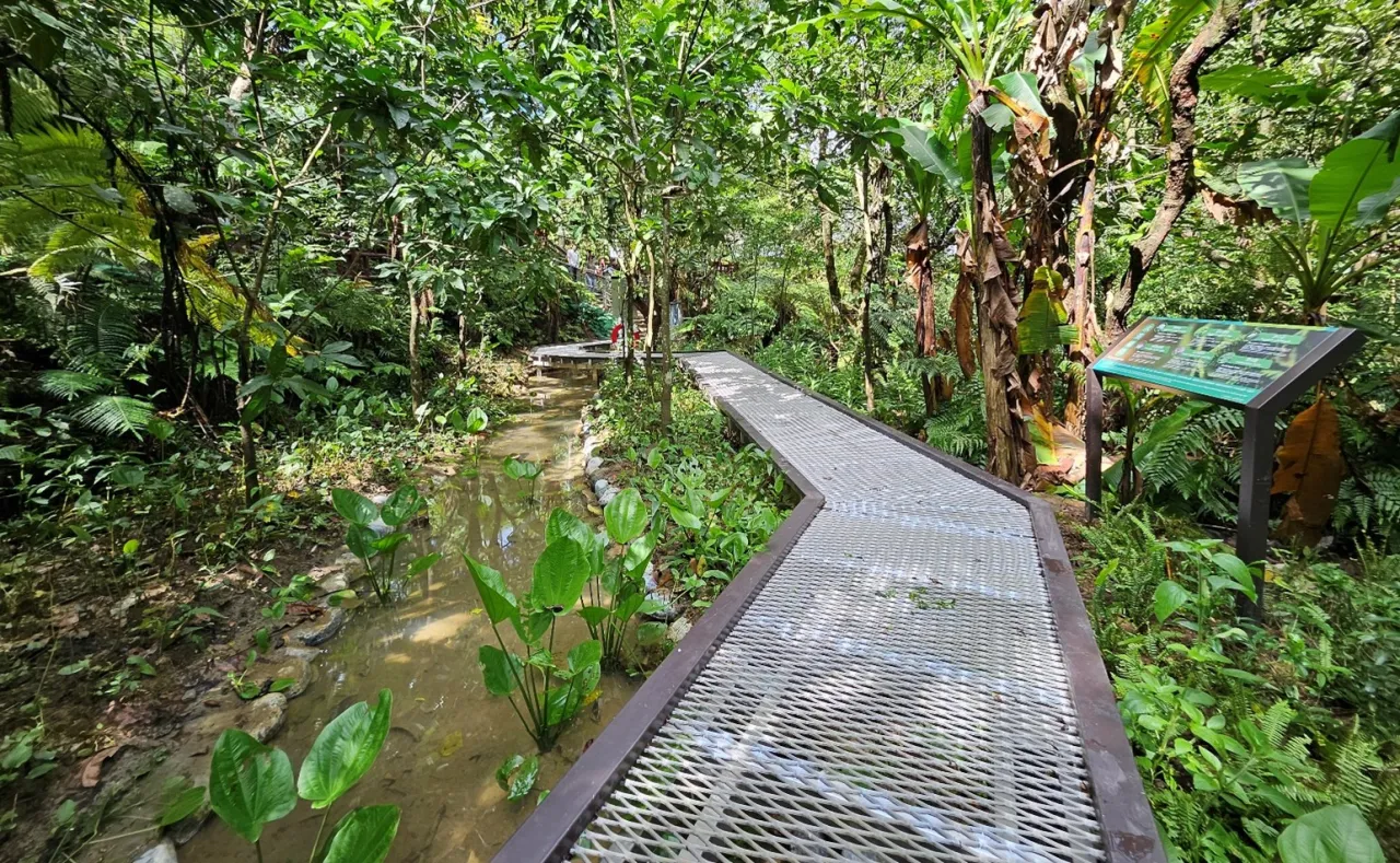 施工品質與環境永續雙肯定 微笑山線土城桐花公園、平溪望古觀瀑步道 獲國家卓越建設獎金質獎 圖1