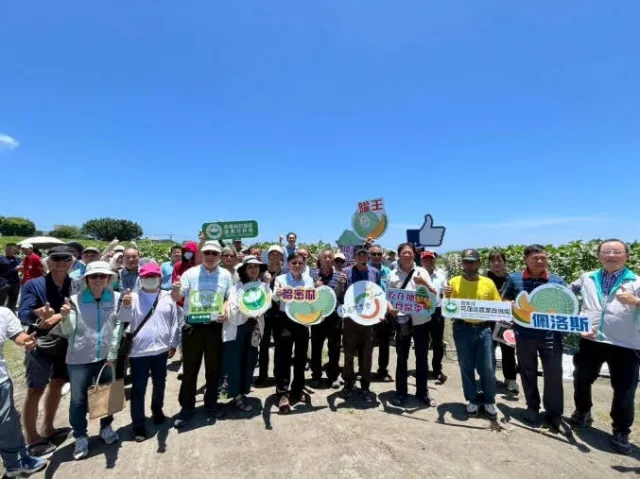 宜蘭甜瓜產量升級！花蓮場露天新品種「佩洛斯」正式亮相