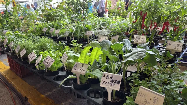 重新橋觀光市集10月9日第7至8區「市集情意農—助農回饋日」