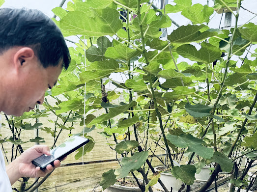 智慧農業進入2.0五大面向凝聚合作共識 圖1