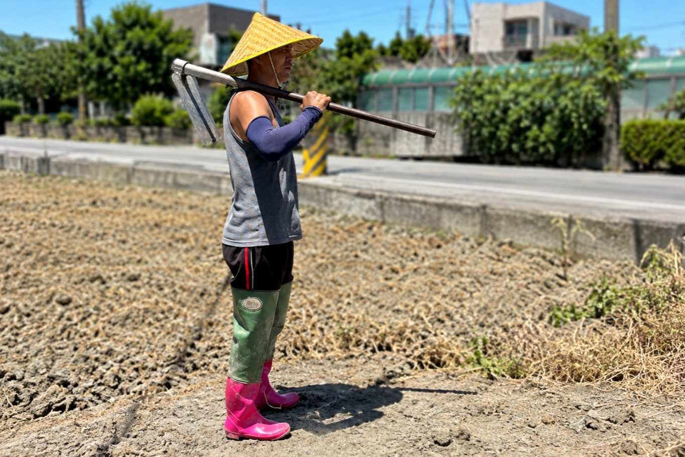 重新橋觀光市集10月9日第7至8區「市集情意農—助農回饋日」 圖2